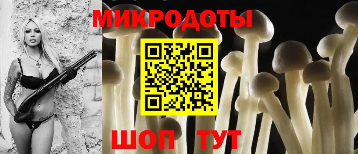 Псилоцибиновые грибы Cubensis Алейск